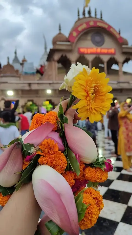 Lotus and marigold for Shriji, in the courtyard